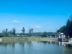 -青龙山公园