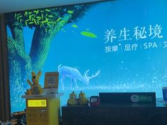 -道合堂·中式按摩·spa(民治店)
