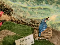 -中山市树木园