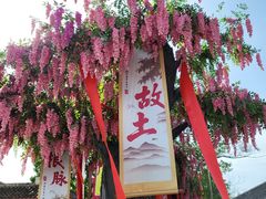 -大槐树寻根祭祖园