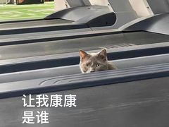 -AK健身普拉提拉伸私教馆(中八店)