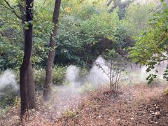 -北京西山国家森林公园