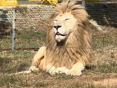 -秦皇岛野生动物园