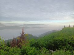 -长虫山生态公园风景林