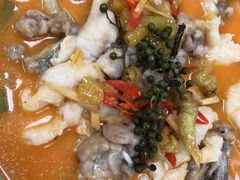 -丰收日(五角场店)