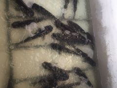 -姥家大锅台水库渔家