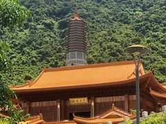 -深圳仙湖植物园