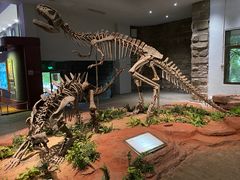 -自贡恐龙博物馆