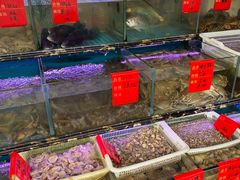 水产区-金海湾海鲜排档(朱家尖店)