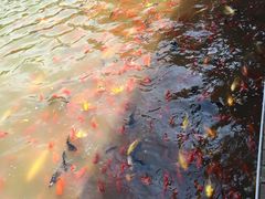 -泰安地下龙宫景区