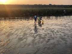 -南汇嘴观海公园