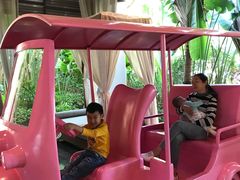 -西双版纳融创皇冠假日度假酒店