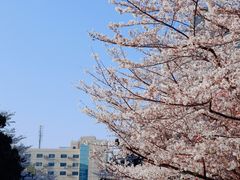 -同济大学(地铁站)