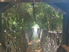 -亚龙湾热带天堂森林公园