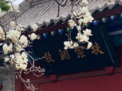 -万寿八仙宫