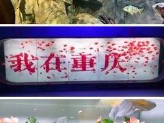-重庆欢乐海底世界