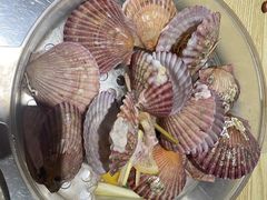 -鲜小岛·铜锅涮肉