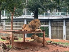 -昆明动物园