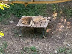 -大连森林动物园