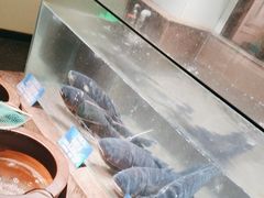 -上名堂·鱼头好吃(体育场路店)