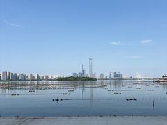-金鸡湖景区