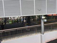 -圣淘沙天际线斜坡滑车