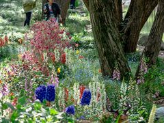 -上海共青森林公园