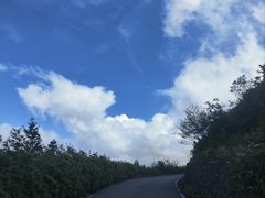 -武陵山森林公园