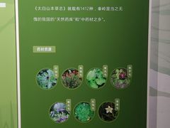 -陕西自然博物馆