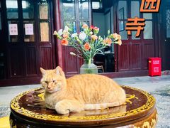 -西园戒幢律寺