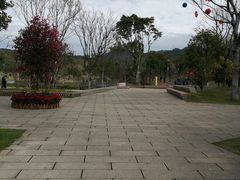 -牛岗山公园