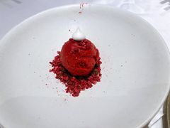 树莓冰淇凌球-EN SPACE恩空间