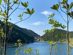 -武陵山森林公园