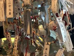 -长藤鬼校(龙翔店)