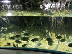 -福州罗源湾海洋世界旅游区