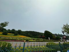 -棒棰岛宾馆景区