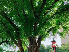 -广州中山纪念堂