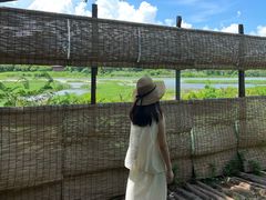 -华侨城湿地公园