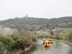 -苏州上方山国家森林公园