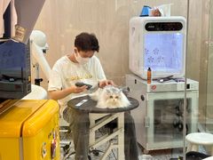 -momokira米努特·德文卷毛猫·棉花面纱犬