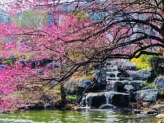 -中国茶叶博物馆(双峰馆区)