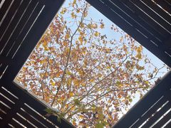 -春晖园度假酒店温泉