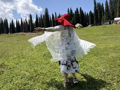 -新疆那拉提国家旅游度假区