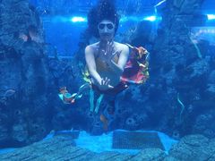 -石家庄极地海洋世界