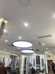 -Rise Hair上升造型