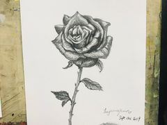 -黑骏画室·深圳美术中高考黄埔军校