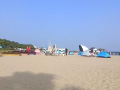 -碧海金沙