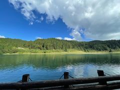 -武陵山森林公园