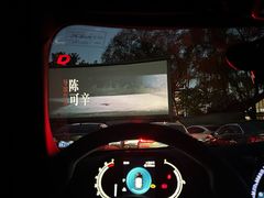 -枫花园汽车电影院(朝阳公园店)