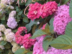 -星巴克(杭州嘉里中心4F店)